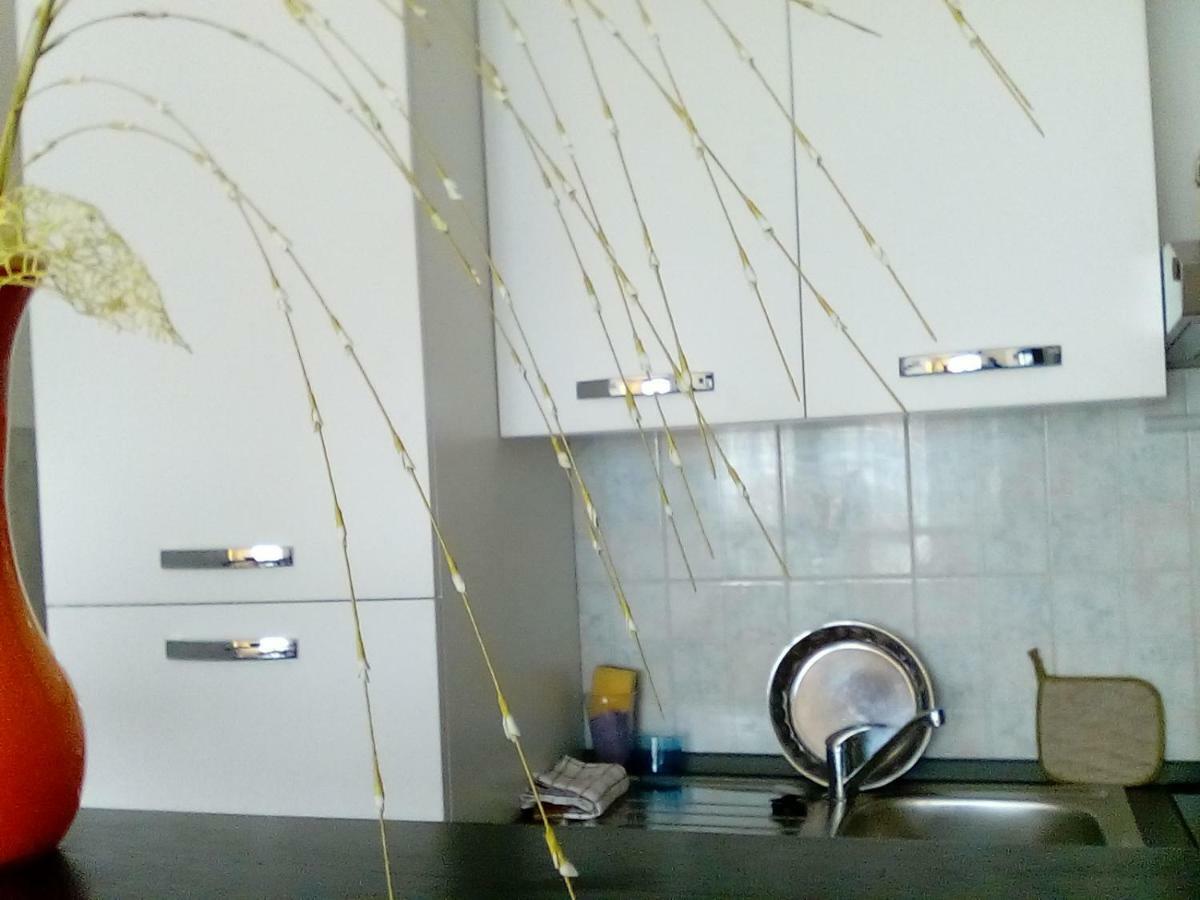 Apartman Mare بولا المظهر الخارجي الصورة